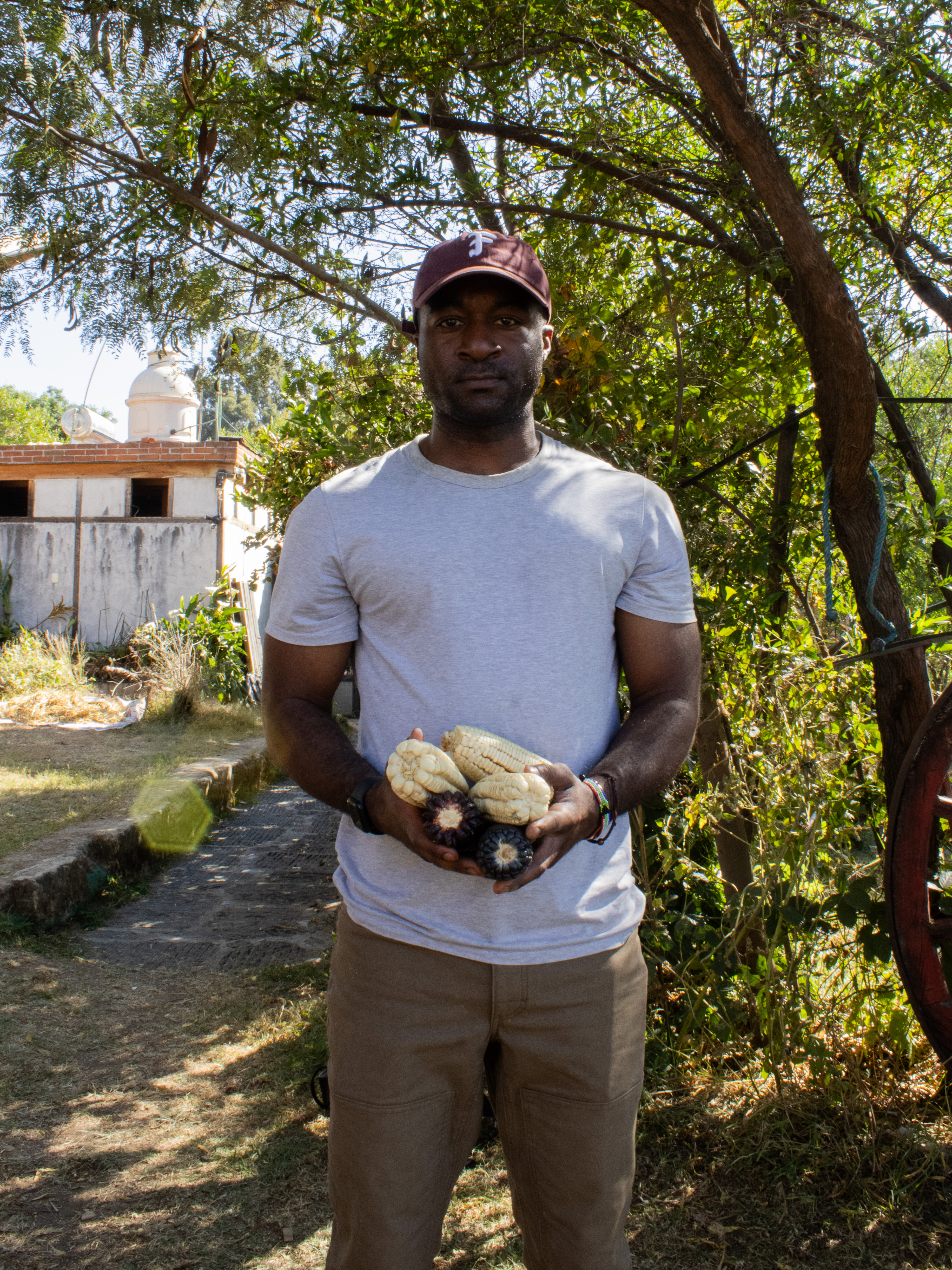 A person holding several ears of native heirloom maize